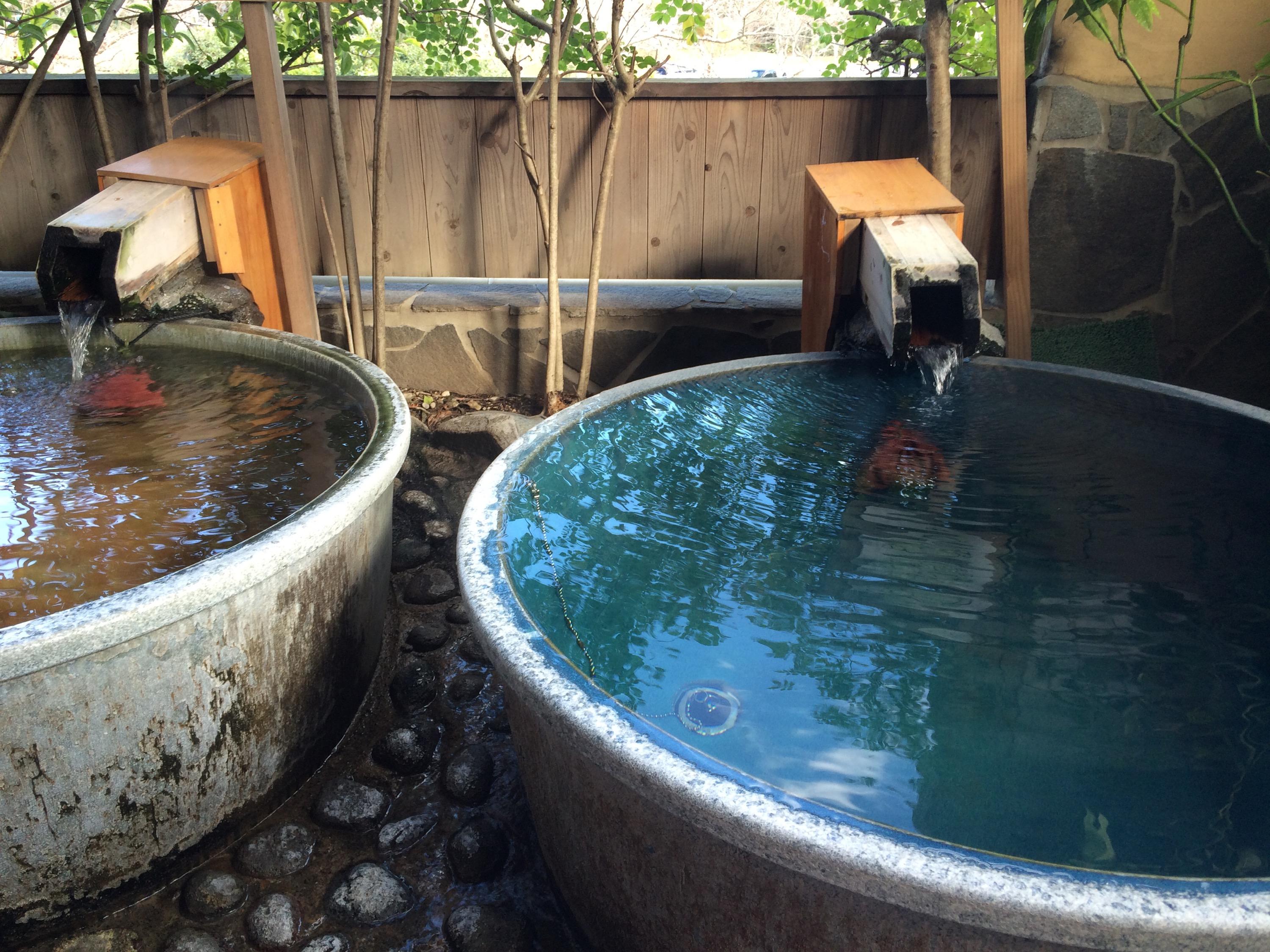 ♨️ 구로카미 숲 온천 덴도노유 (黒髪の森温泉天童の湯) 이미지 3